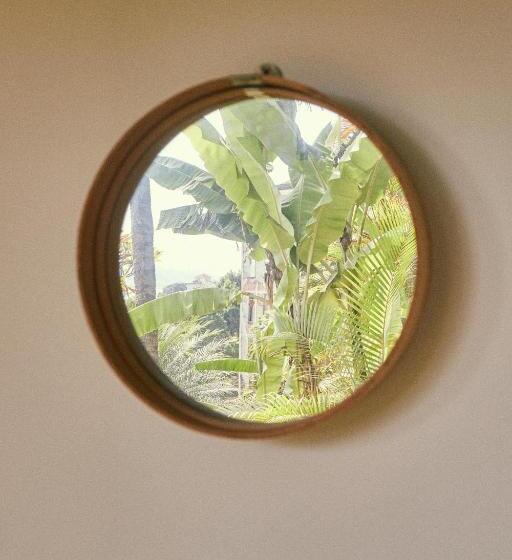 اتاق عادی, Mama Ruisa Boutique