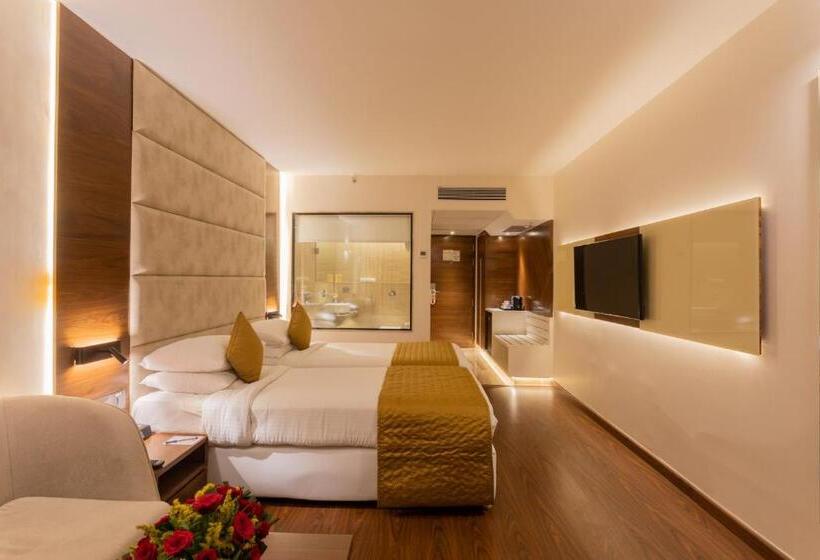 Номер Стандарт, Sayaji Indore