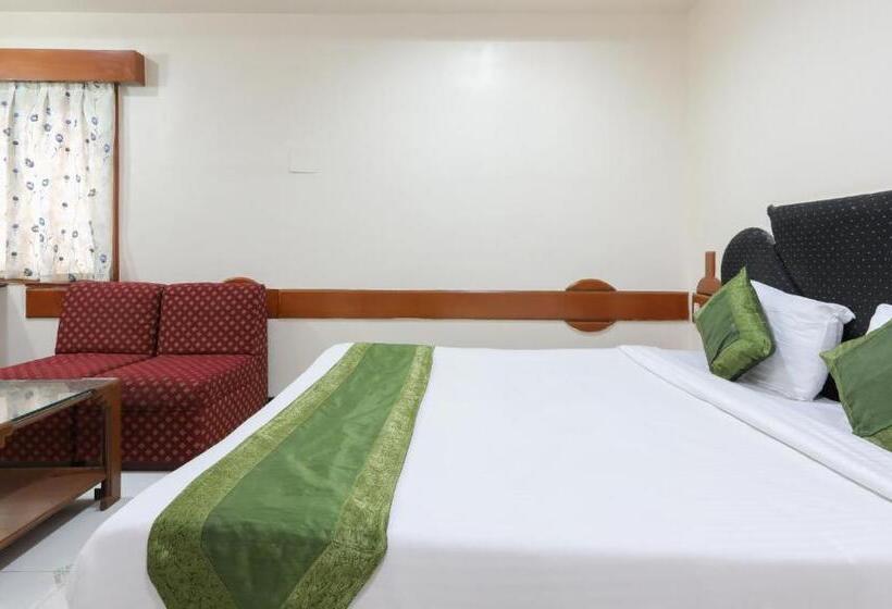 Номер Стандарт, Treebo Omni Palace