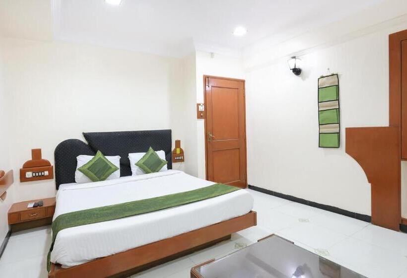 Номер Стандарт, Treebo Omni Palace