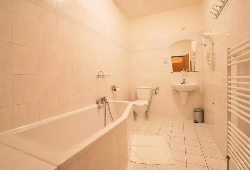 スイート, Kyjovský Pivovar Hotel, Restaurace, Pivní Lázně