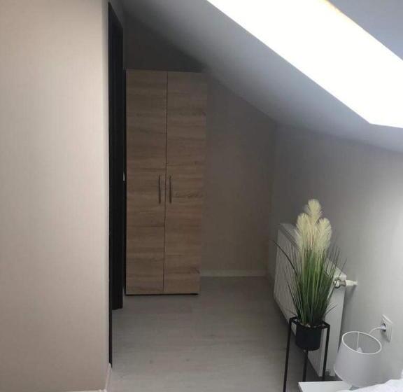 اتاق استاندارد, Wellion