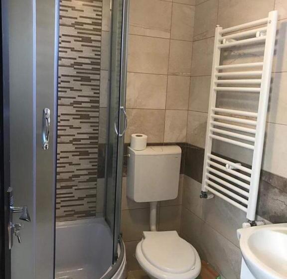 Номер Стандарт, Wellion