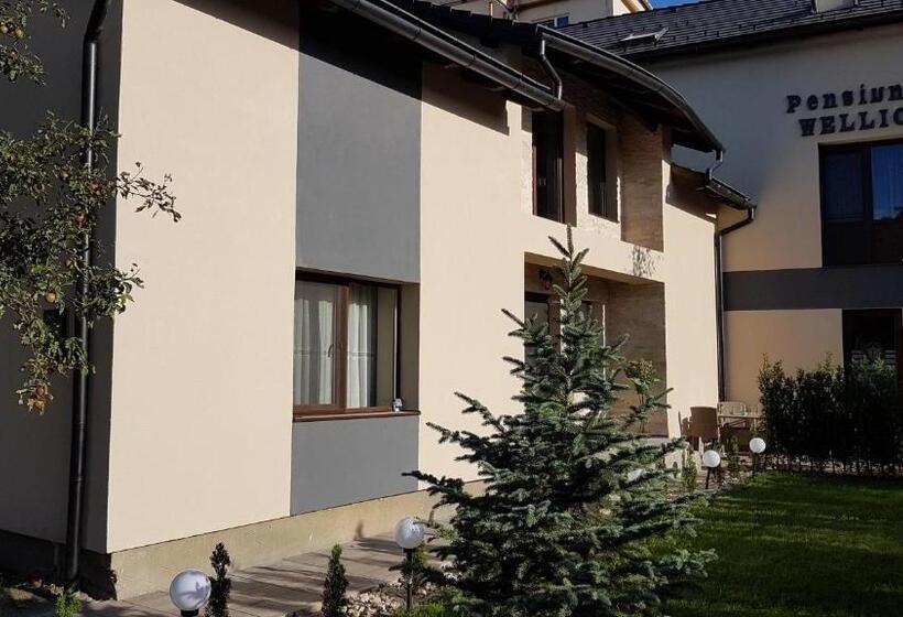 Номер Стандарт Вид на Сад, Wellion