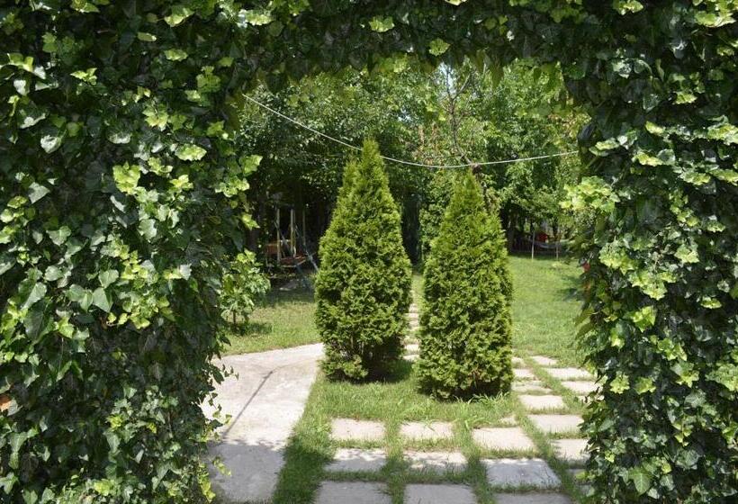 חדר לארבעה סטנדרטי עם מרפסת, Vila Cu Livada