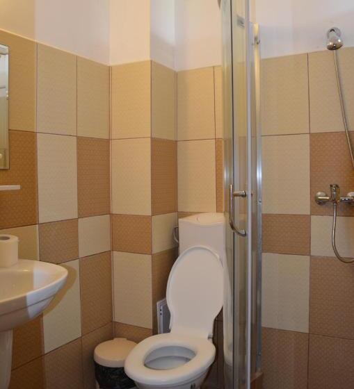 חדר סטנדרט יחיד עם מרפסת, Vila Cu Livada