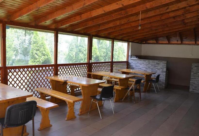 חדר סטנדרט יחיד עם מרפסת, Vila Cu Livada