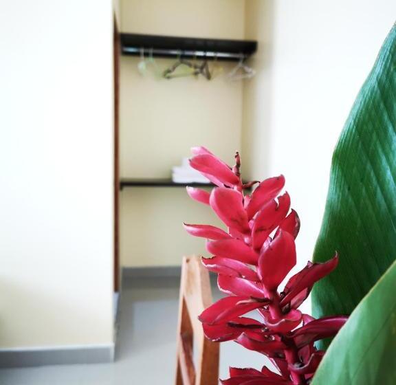 スーペリアファミリールーム, Hostal Cordillera Azul