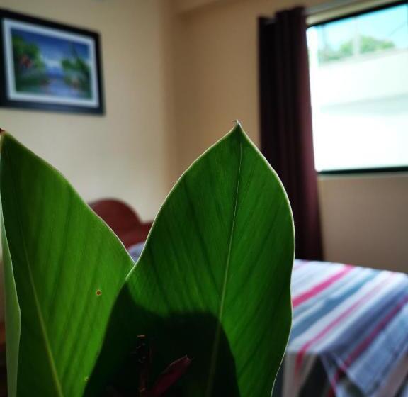 デラックスファミリールーム, Hostal Cordillera Azul