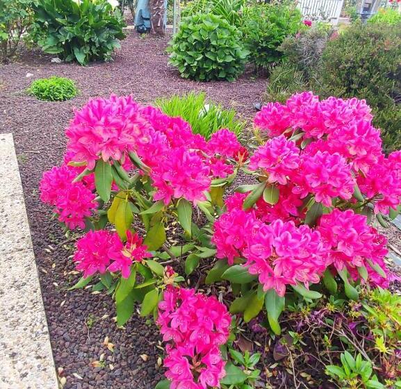 バス共有のスタンダードルーム, Chambres Le Mans 24 Heures