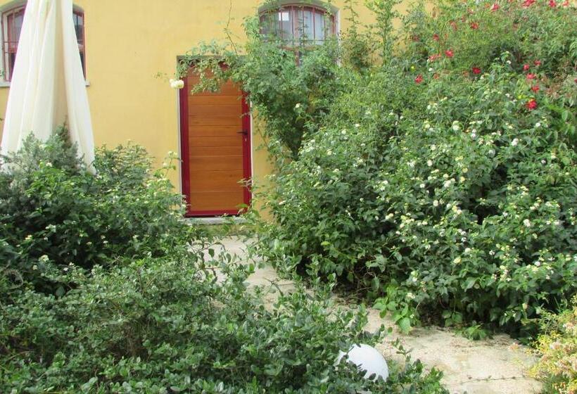 חדר סטנדרט עם מיטת קינג, Cavalli Di S Arcaite