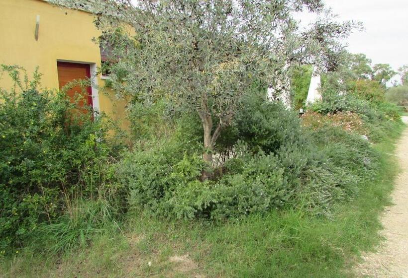 غرفة عائلية, Cavalli Di S Arcaite