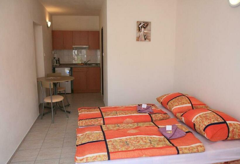 חדר סטנדרט, Penzion Atlas