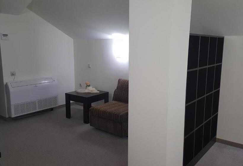 房顶倾斜的标准房间, Vikeya Guest House