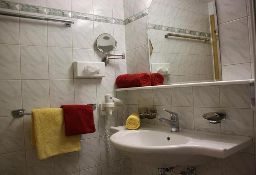 اتاق استاندارد با تخت بزرگ, Camona & Apart Walserhof