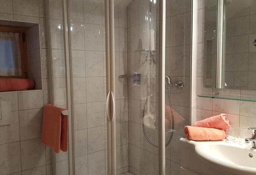 اتاق لوکس با بالکن, Camona & Apart Walserhof