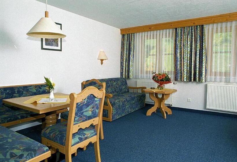 اتاق لوکس با بالکن, Camona & Apart Walserhof