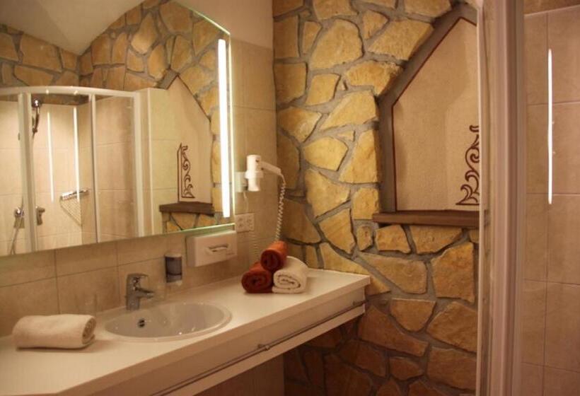 اتاق لوکس, Camona & Apart Walserhof