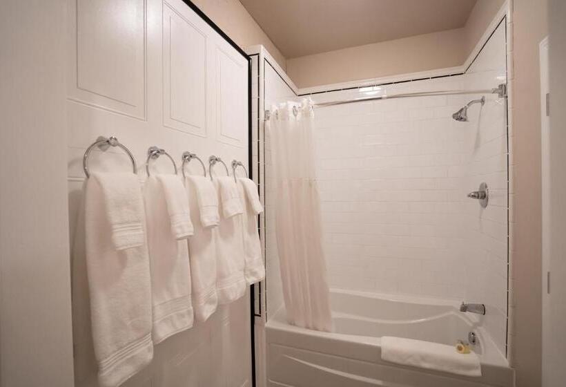 スイート(家族用), Amsterdam Castle Ny