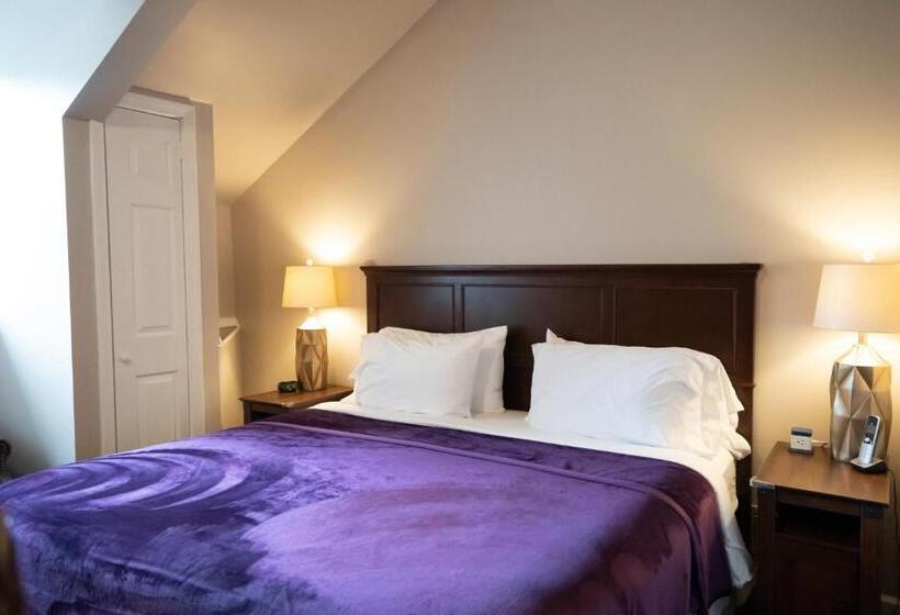 스탠다드 룸 킹사이즈 침대, Amsterdam Castle Ny