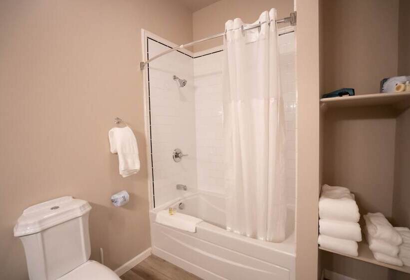 スーペリアースイート, Amsterdam Castle Ny