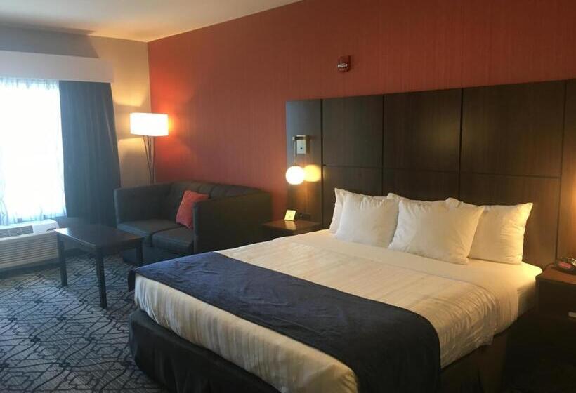 غرفة قياسية سرير كينج لذوى الإحتياجات الخاصة, Best Western Gettysburg
