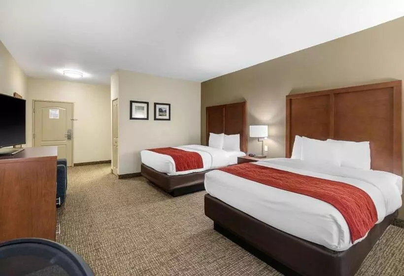 Standard-huone, Comfort Inn & Suites Cedar Hill Duncanville