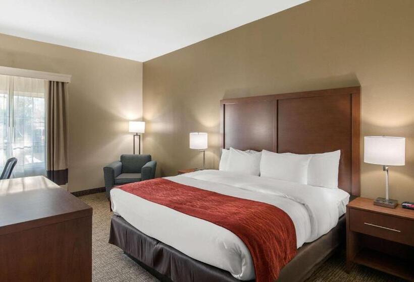 带大床的标准间, Comfort Inn & Suites Cedar Hill Duncanville