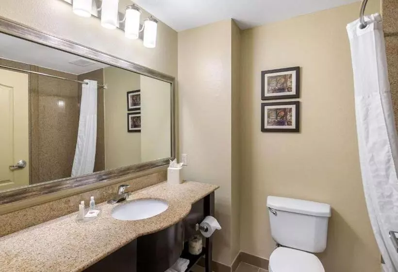 Standard-huone King-vuode, Comfort Inn & Suites Cedar Hill Duncanville