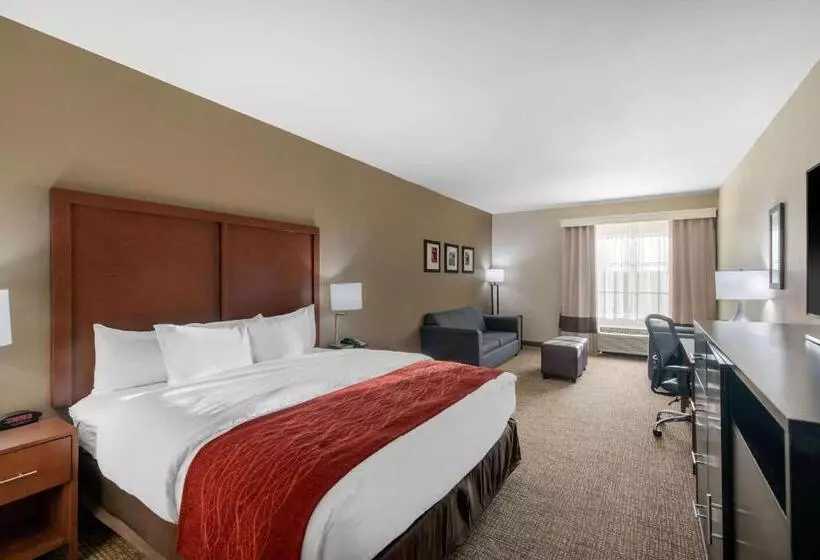 Sviitti King-vuode, Comfort Inn & Suites Cedar Hill Duncanville
