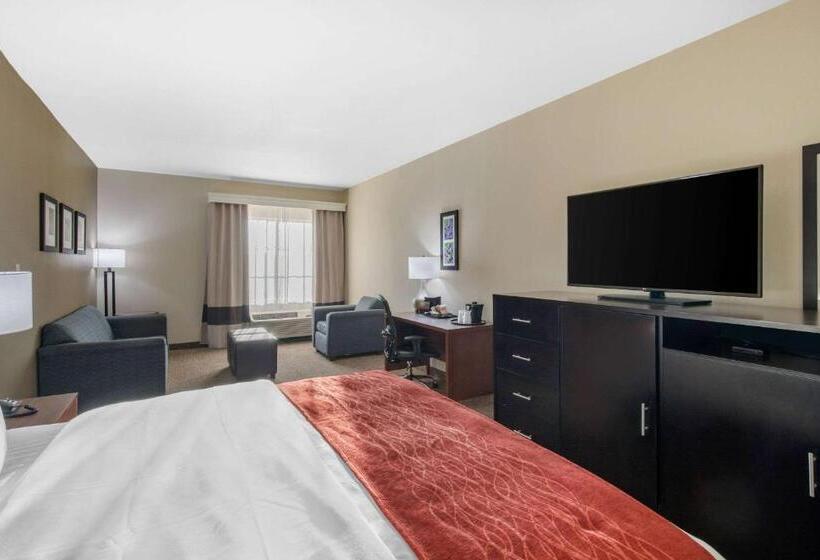 带大床的套房, Comfort Inn & Suites Cedar Hill Duncanville