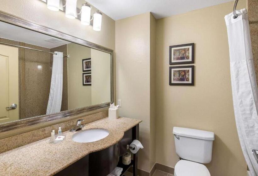 带大床的套房, Comfort Inn & Suites Cedar Hill Duncanville