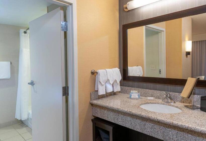 스탠다드 룸 킹사이즈 침대, Courtyard Milwaukee Airport