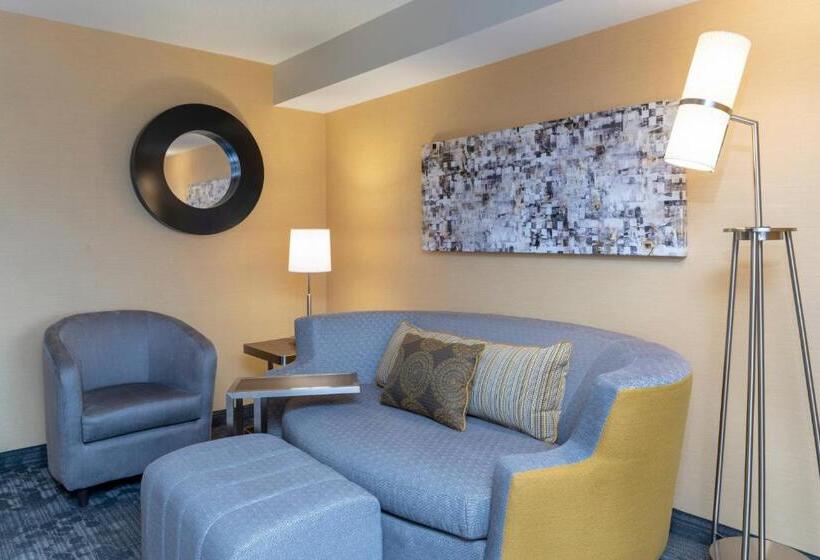 Люкс Executive Кровать Кинг, Courtyard Milwaukee Airport