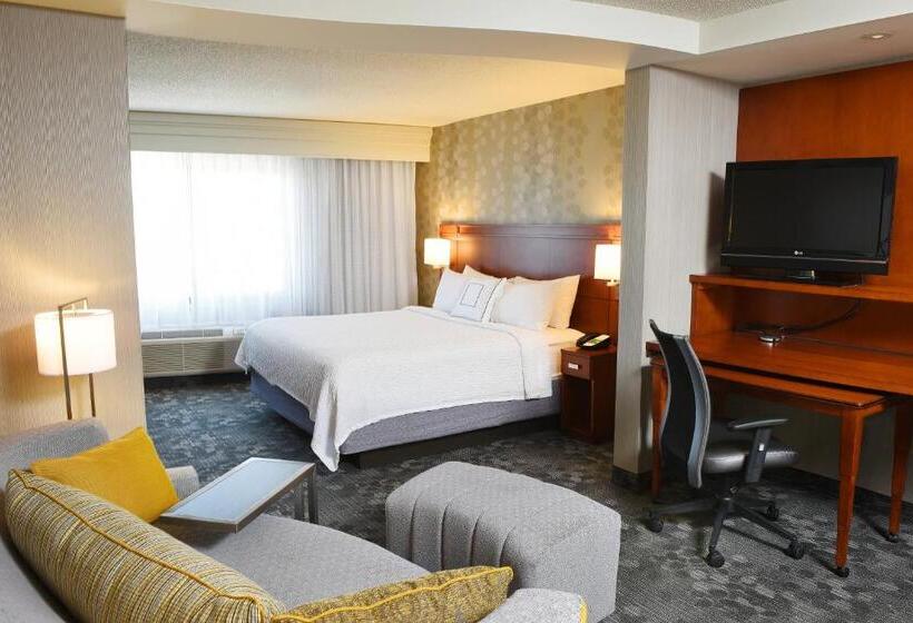 اتاق استاندارد با تخت بزرگ, Courtyard By Marriott Sioux Falls