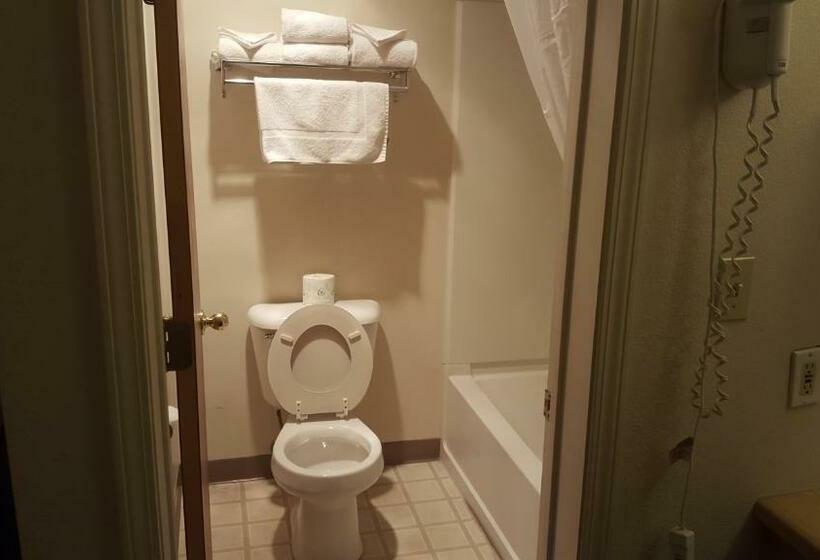 غرفه قياسيه سريرين مزدوجين, Cozy Inn