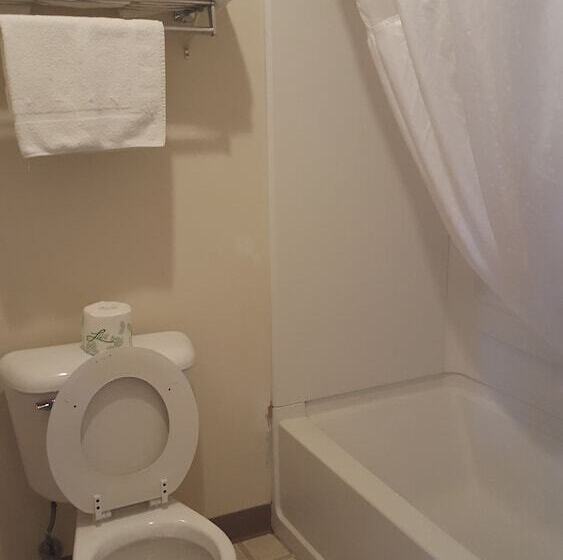 غرفه قياسيه سريرين مزدوجين, Cozy Inn