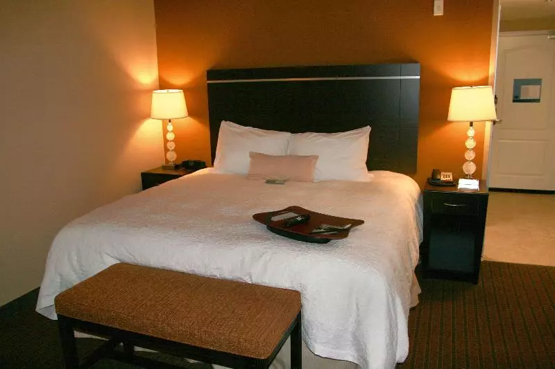 キングサイズベッドのスタンダードルーム, Hampton Inn Denver Northeastbrighton