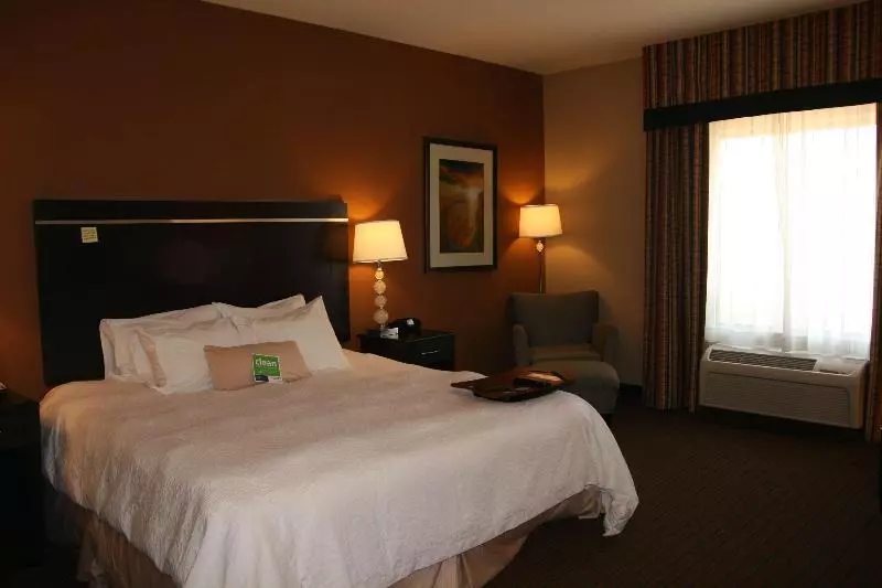 キングサイズベッドのスタンダードルーム, Hampton Inn Denver Northeastbrighton