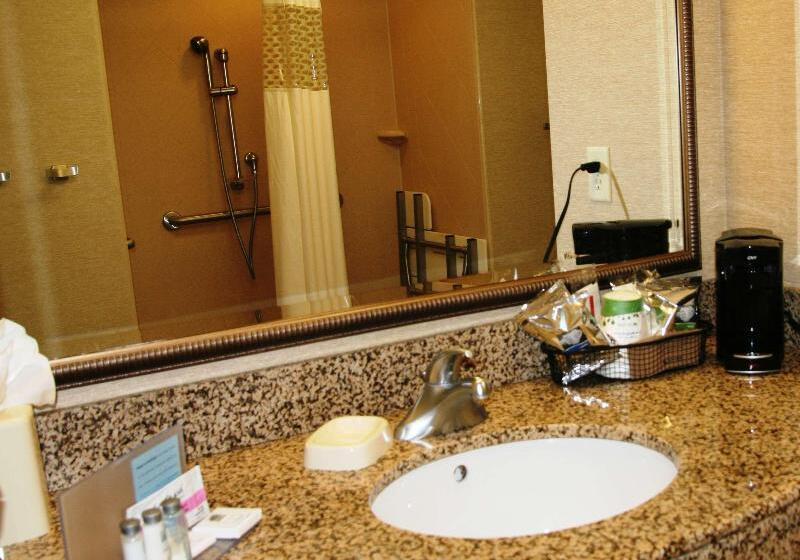 غرفة قياسية سرير كينج, Hampton Inn Denver Northeastbrighton