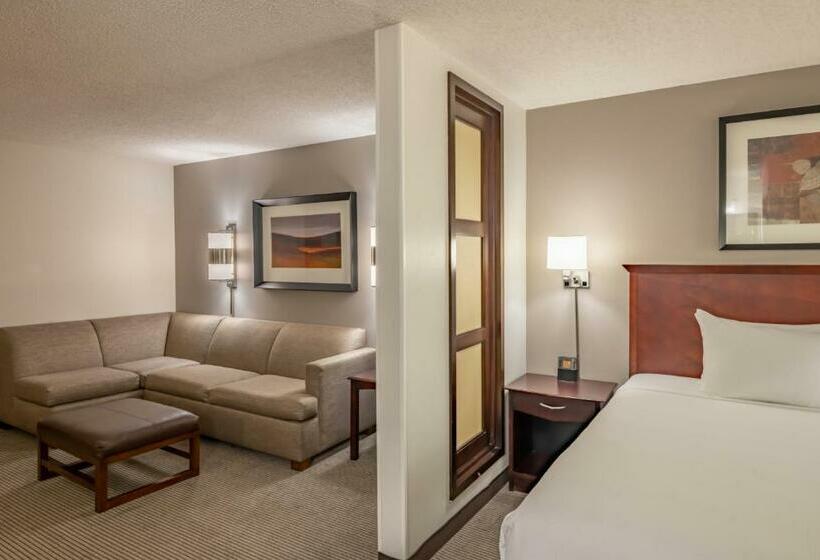 חדר סטנדרט עם מיטת קינג, Hyatt Place College Station