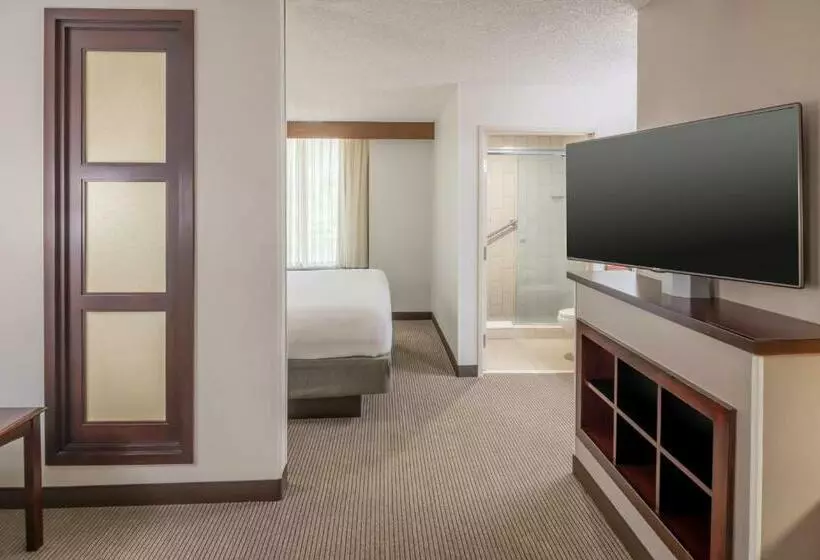 اتاق استاندارد با تخت بزرگ, Hyatt Place College Station