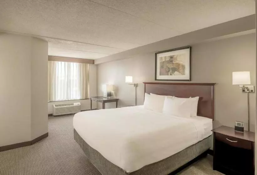 اتاق استاندارد با تخت بزرگ برای معلولان, Hyatt Place College Station