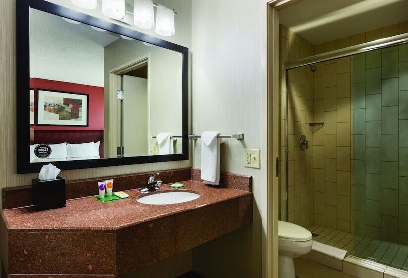 חדר סטנדרט בקומת סופריור, Hyatt Place College Station