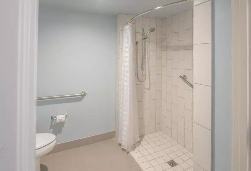اتاق استاندارد با تخت بزرگ برای معلولان, Hyatt Place College Station