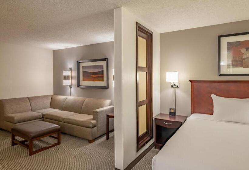 اتاق استاندارد با تخت بزرگ برای معلولان, Hyatt Place College Station