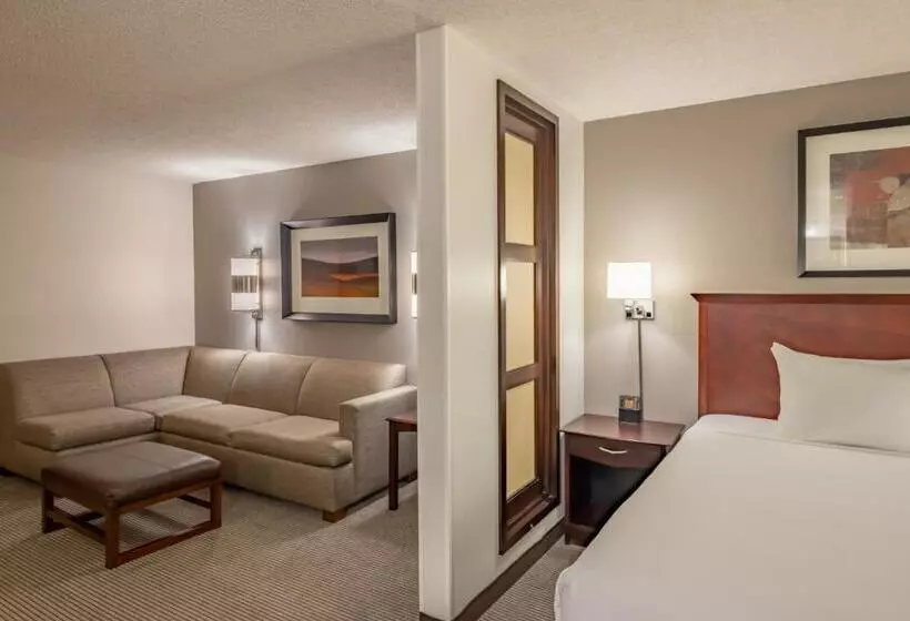اتاق استاندارد با تخت بزرگ برای معلولان, Hyatt Place College Station