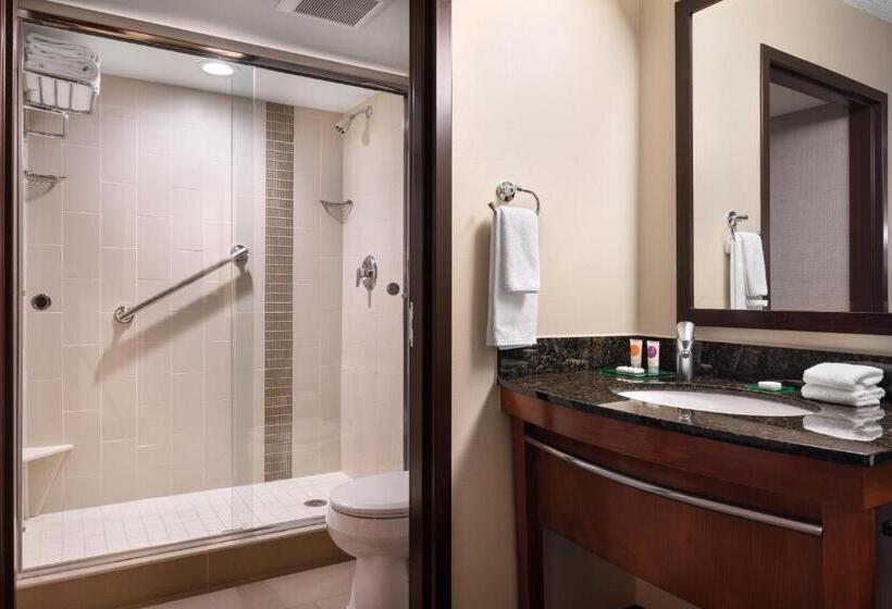 חדר סטנדרט שתי מיטות זוגיות, Hyatt Place Denver Tech Center