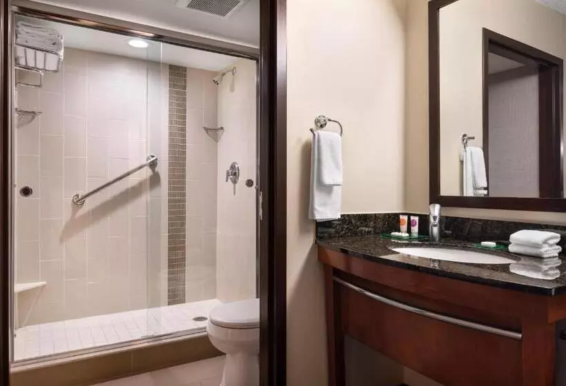 ２ダブルベッドのスタンダードルーム, Hyatt Place Denver Tech Center