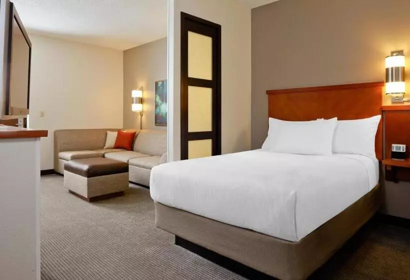 キングサイズベッドのスタンダードルーム, Hyatt Place Denver Tech Center